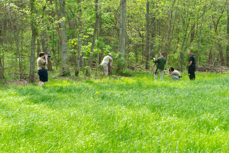 ddb 20090426 010-247