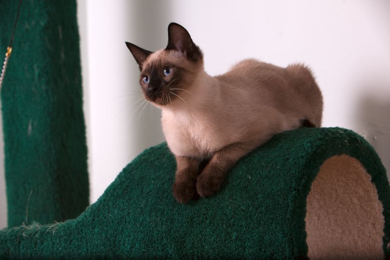 ddb 20090517 010-010