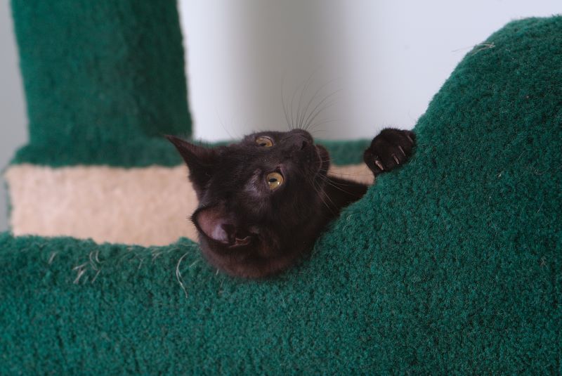 ddb 20090517 010-044