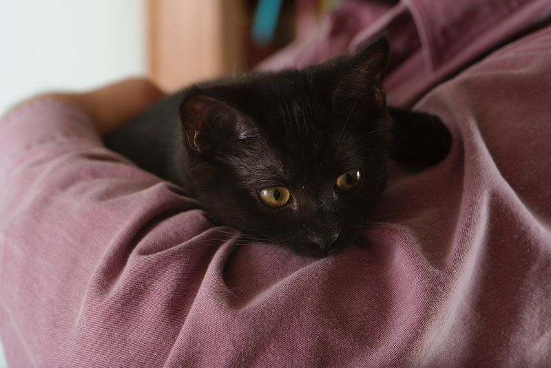 ddb 20090517 010-046