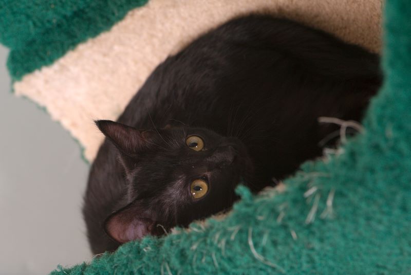 ddb 20090517 010-049