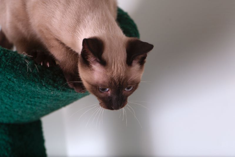 ddb 20090517 010-057