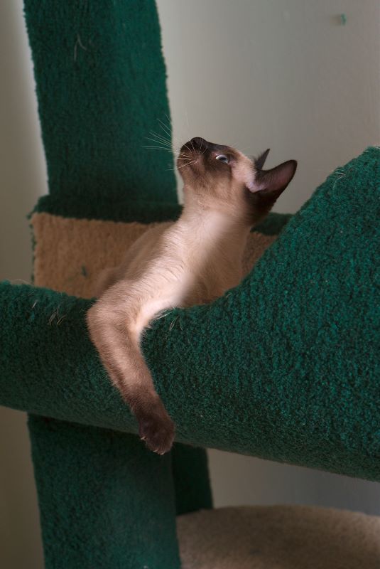 ddb 20090517 010-079