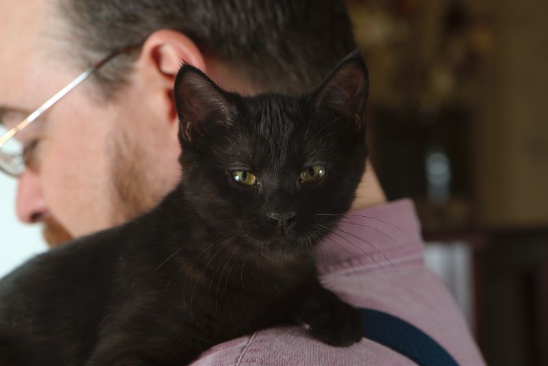 ddb 20090517 010-090