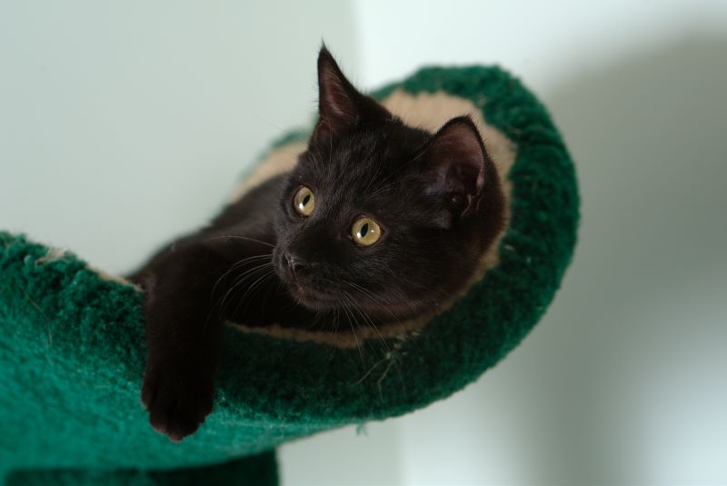 ddb 20090517 010-093