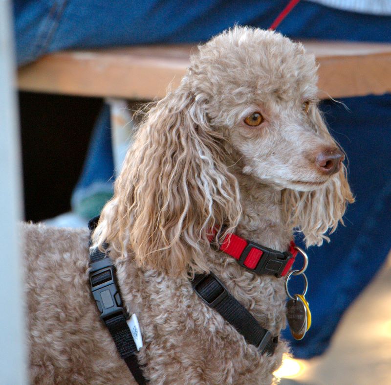 ddb 20090523 010-025