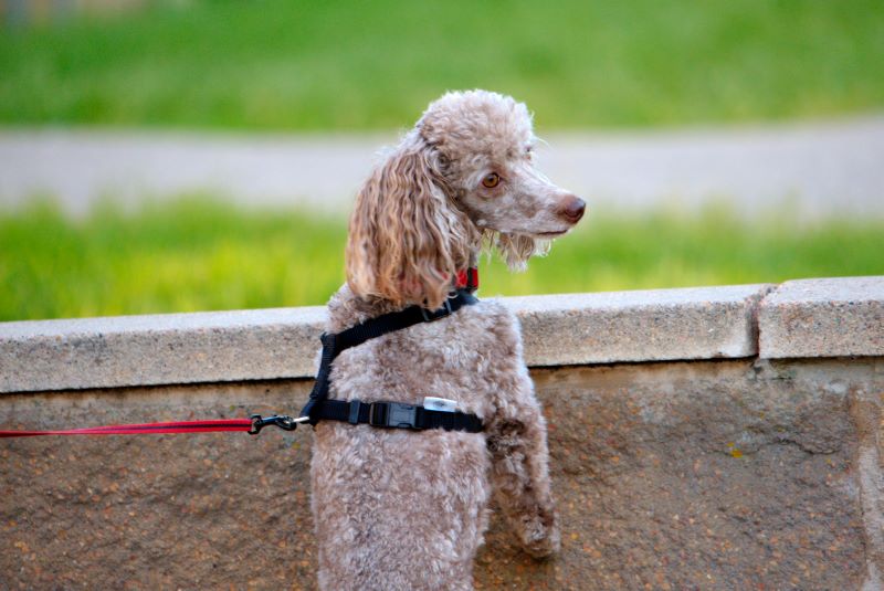 ddb 20090523 010-027