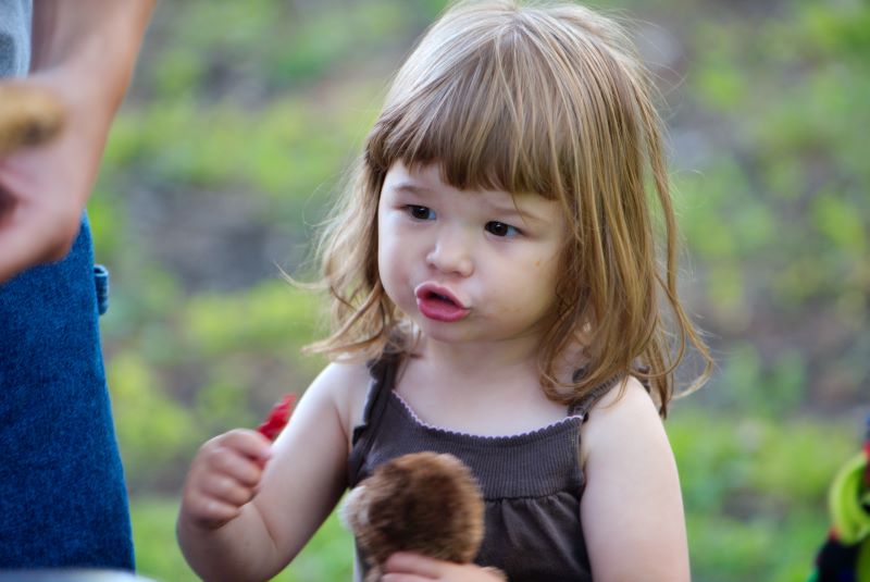 ddb 20090801 010-007-orig