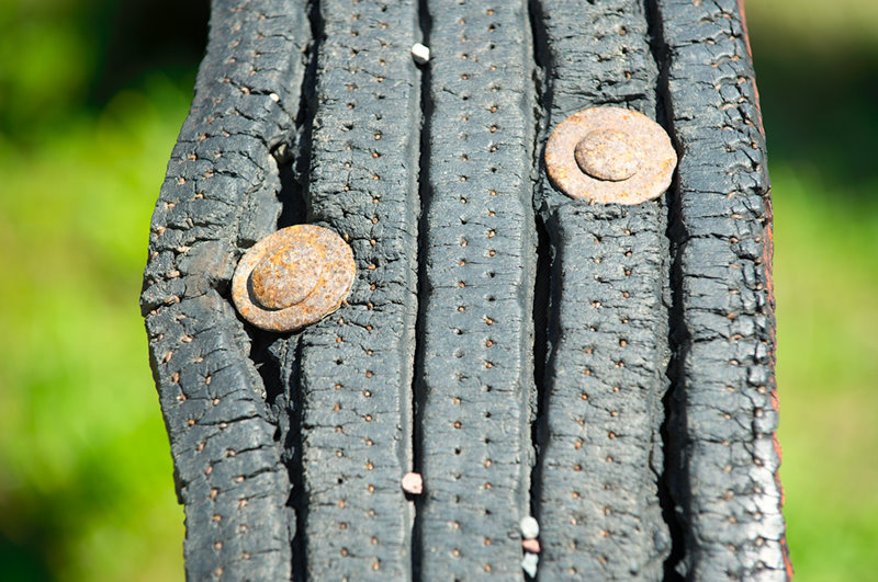 ddb 20090822 010-162