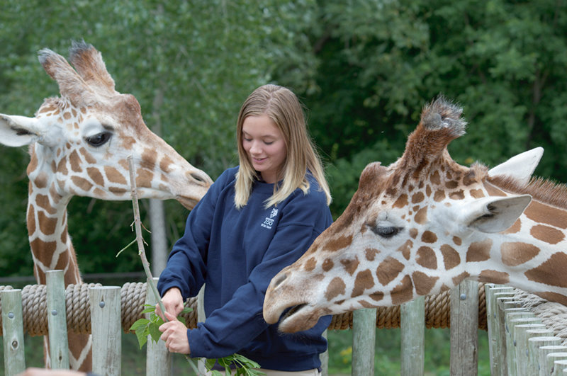 Minnesota Zoo