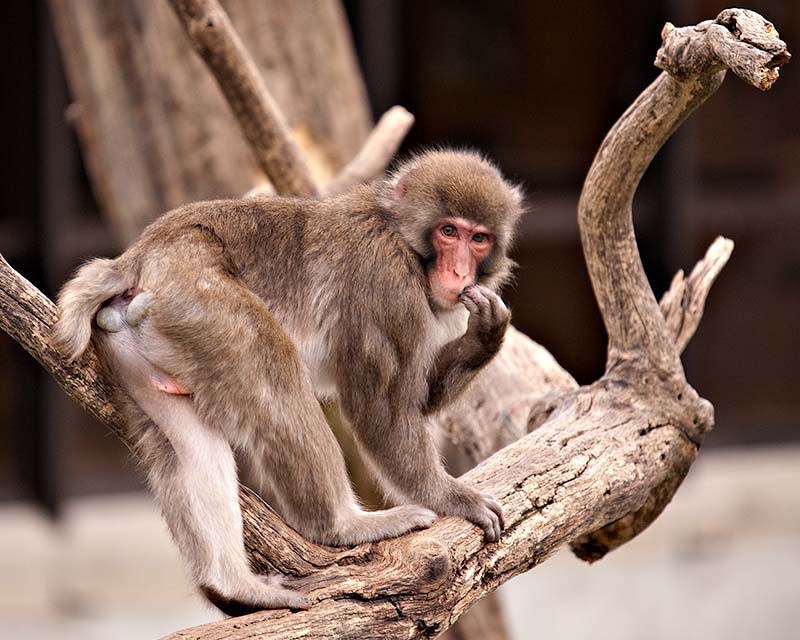 ddb 20090829 010-458