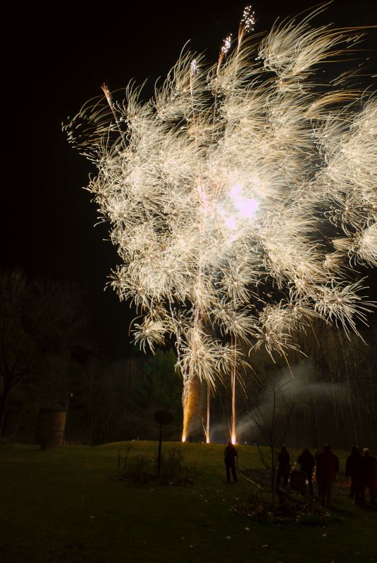 ddb 20091121 010-061