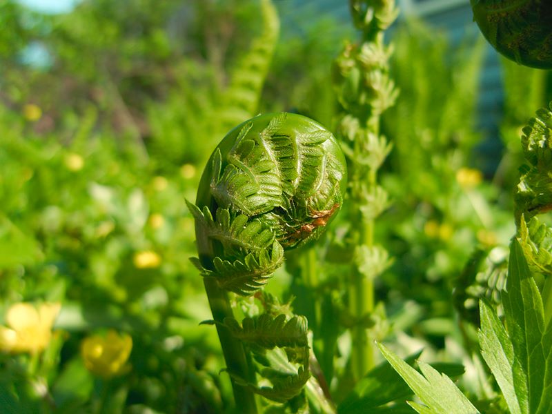 ddb 20100508 010-011