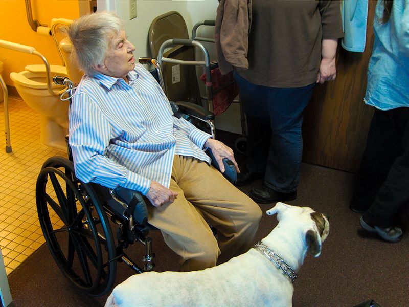 ddb 20100516 010-003