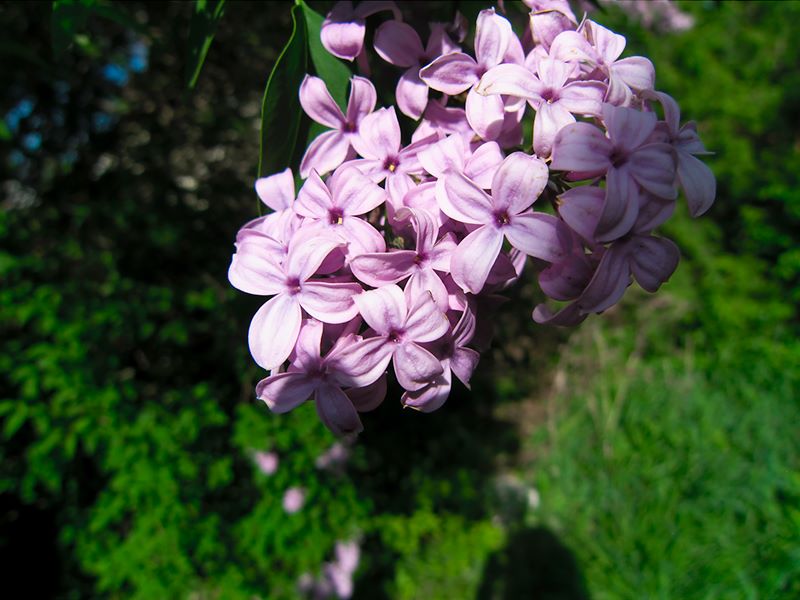 ddb 20100516 010-019