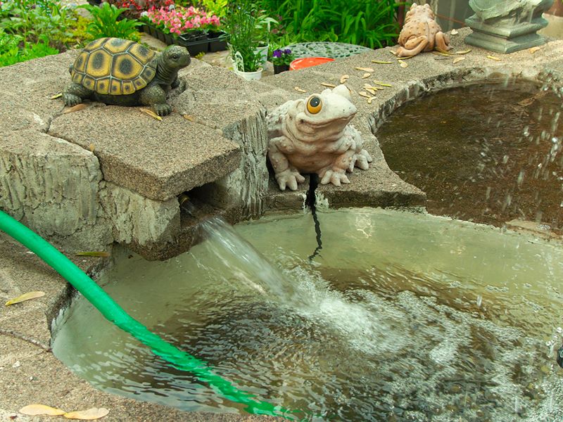 ddb 20100515 010-014