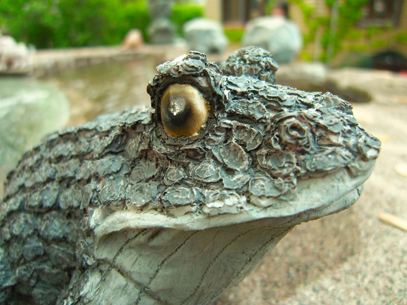 ddb 20100515 010-022