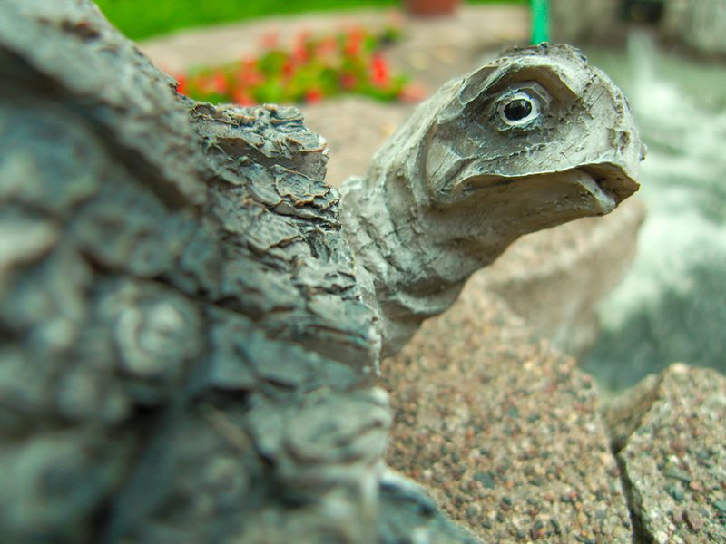 ddb 20100515 010-024