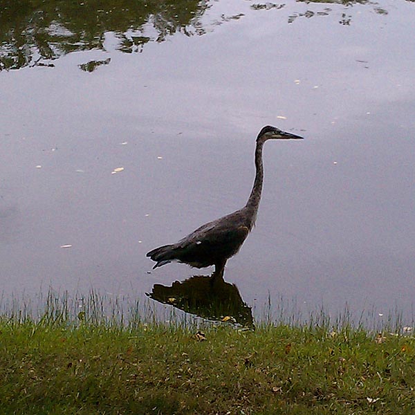 ddb 20100902 010-004