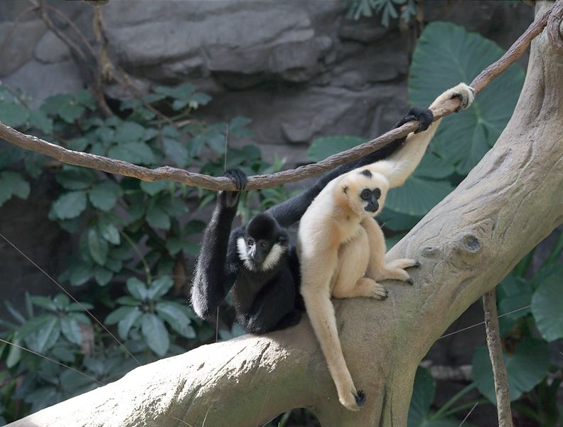 ddb 20100911 010-038