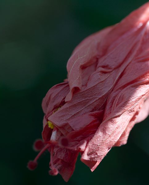 ddb 20100911 010-112