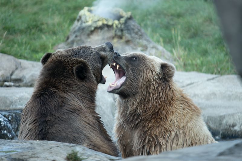 ddb 20100911 010-134