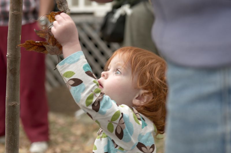 ddb 20101017 030-022