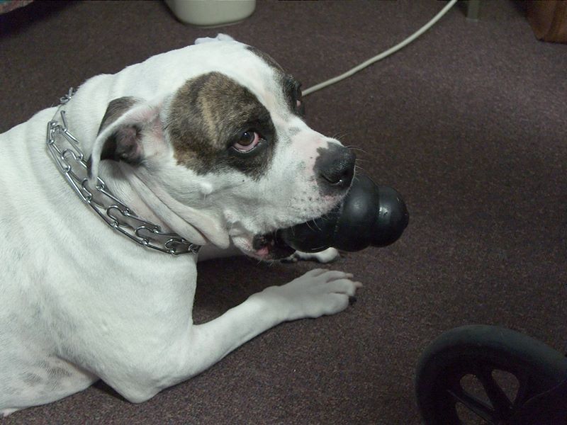 ddb 20101030 010-002