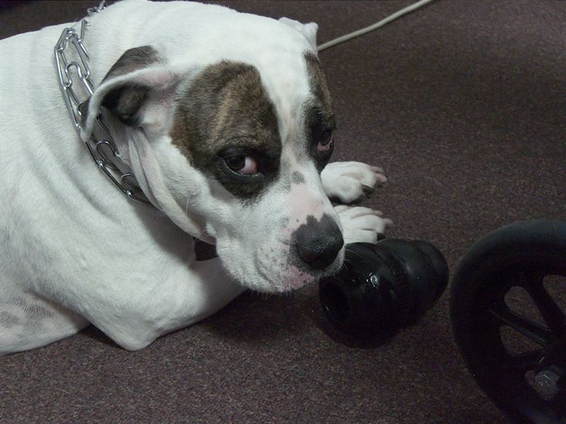 ddb 20101030 010-003