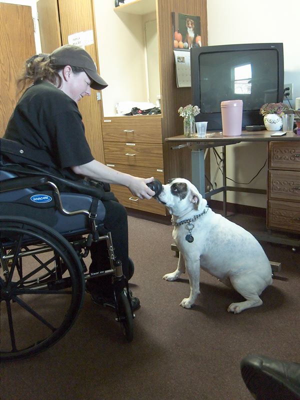 ddb 20101030 010-009