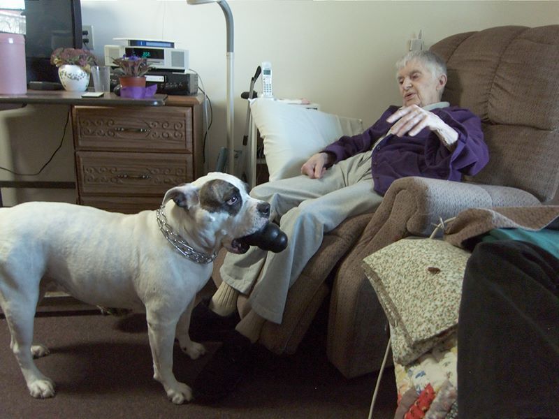 ddb 20101030 010-010