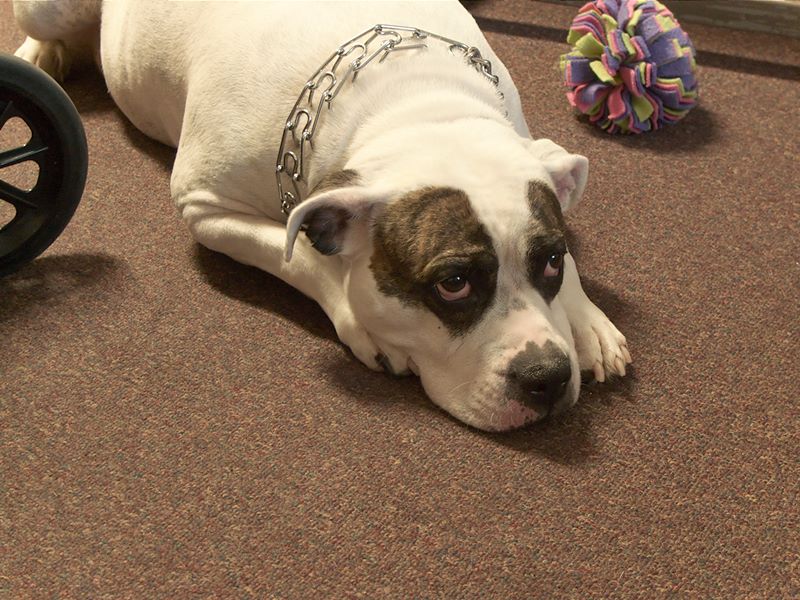 ddb 20101030 010-020