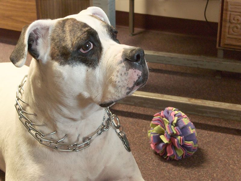 ddb 20101030 010-022