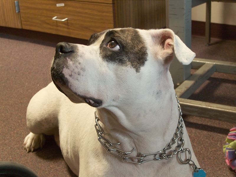 ddb 20101030 010-026