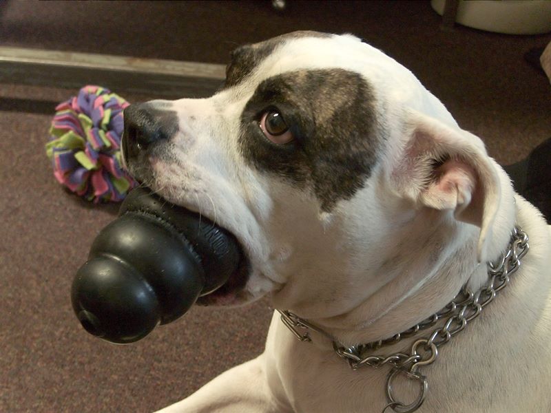 ddb 20101030 010-028