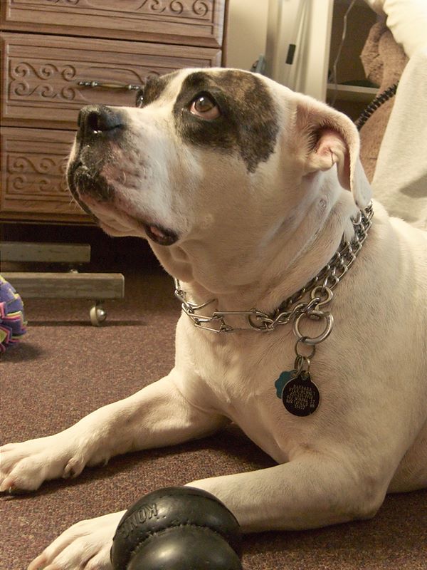 ddb 20101030 010-032