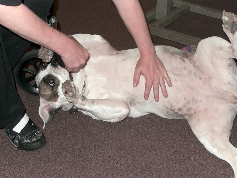 ddb 20101030 010-034