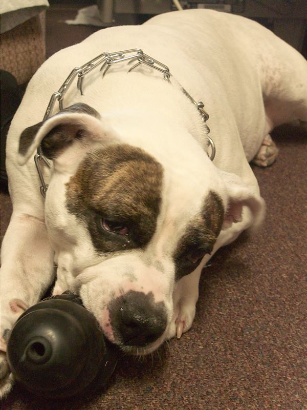 ddb 20101030 010-037