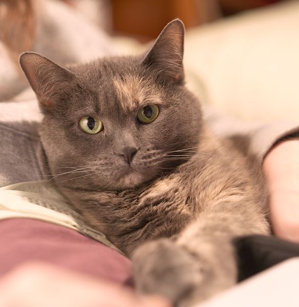 ddb 20110122 010-006