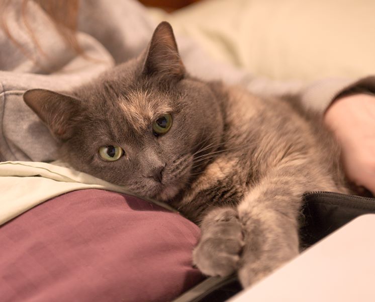 ddb 20110122 010-013