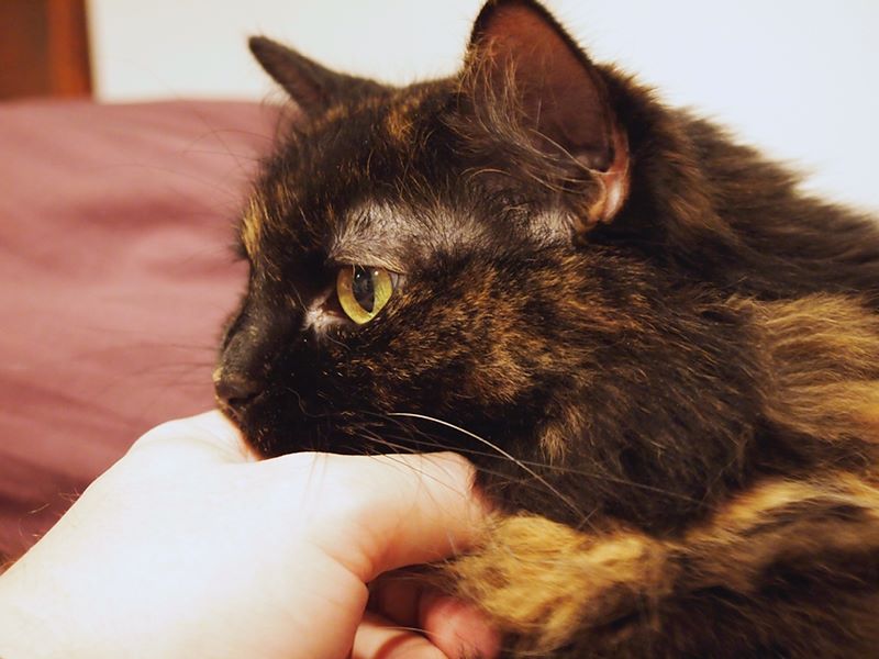 ddb 20110316 010-002