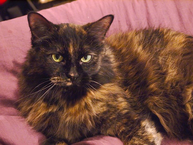 ddb 20110316 010-005