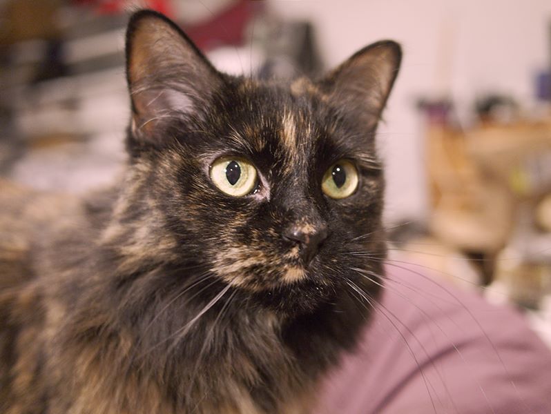 ddb 20110317 010-005