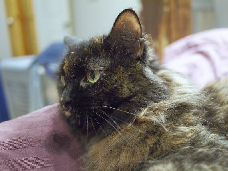 ddb 20110317 010-010