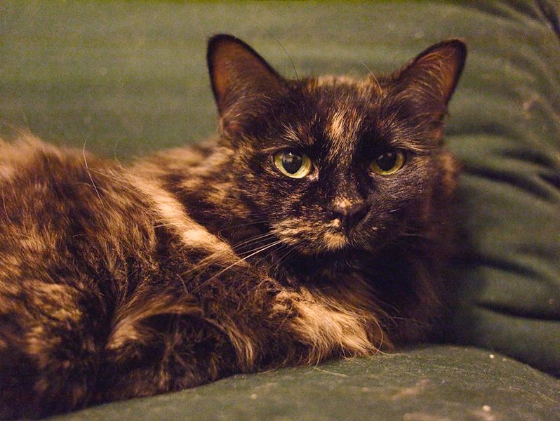 ddb 20110402 010-003