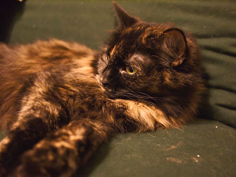 ddb 20110402 010-015