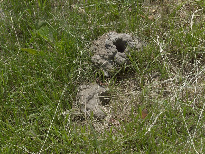 ddb 20110608 010-016