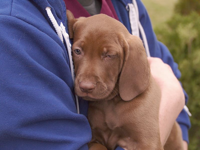 ddb 20110610 010-003