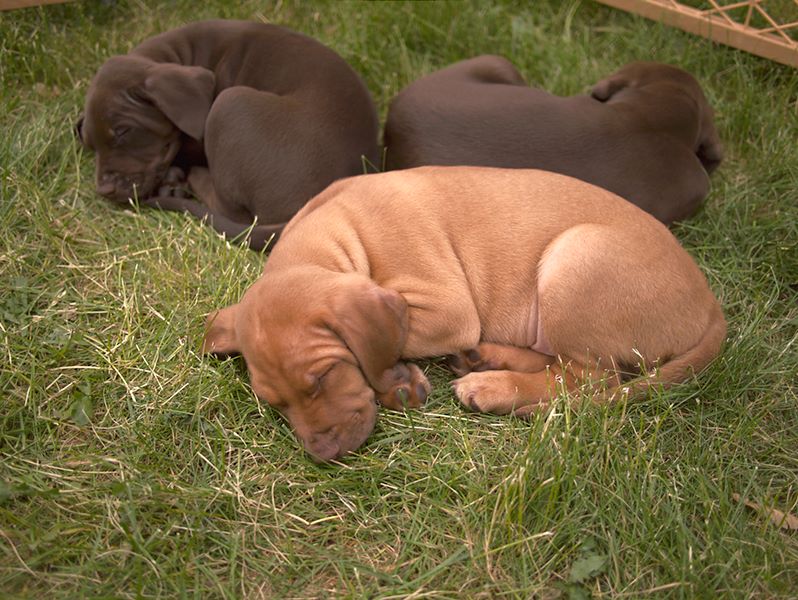 ddb 20110610 010-006