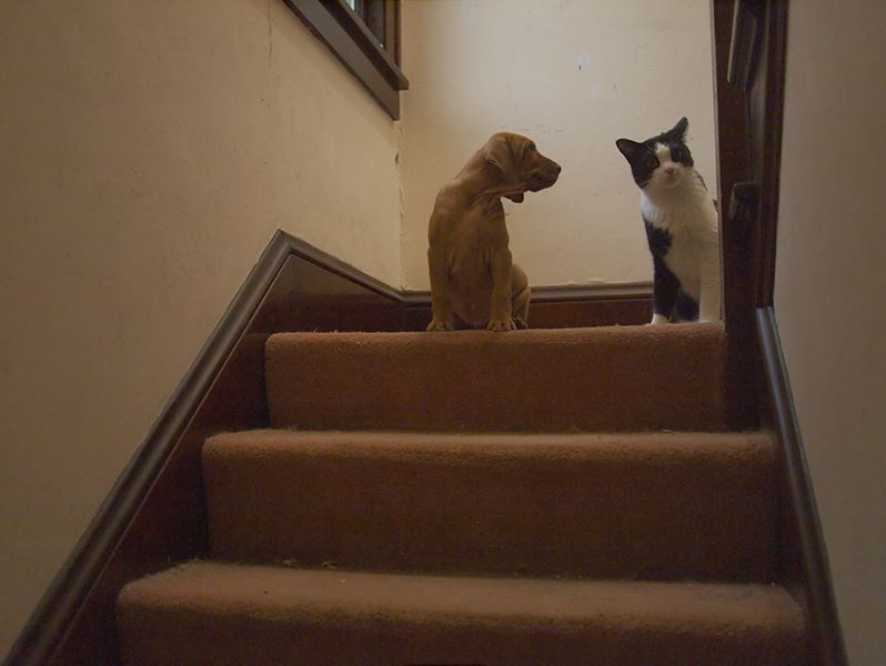 ddb 20110610 010-008